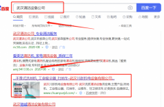 武漢*躍機(jī)電設(shè)備有限公司與我司做網(wǎng)站建設(shè)制作設(shè)計項目