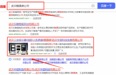 武漢*顯科技發(fā)展有限公司萬詞霸屏案例欣賞