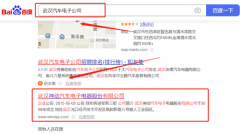 武漢神*汽車(chē)電子電器有限公司SEO優(yōu)化到首頁(yè)按天扣費(fèi)