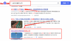 湖北凌*光電科技有限公司新站排名營銷策劃優(yōu)質(zhì)品牌