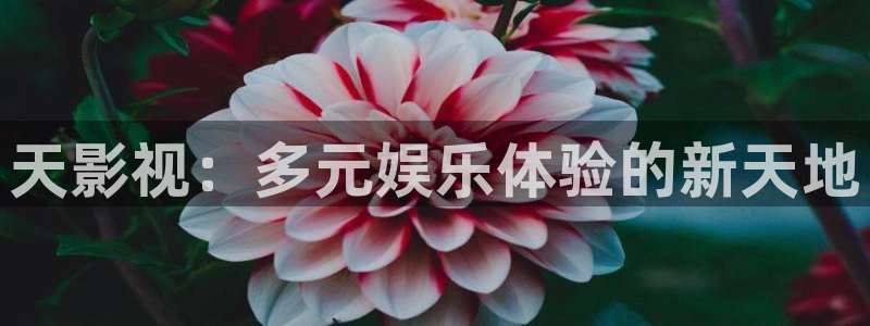 飄雪影院熱門電視劇：天影視：多元娛樂體驗(yàn)的新天地