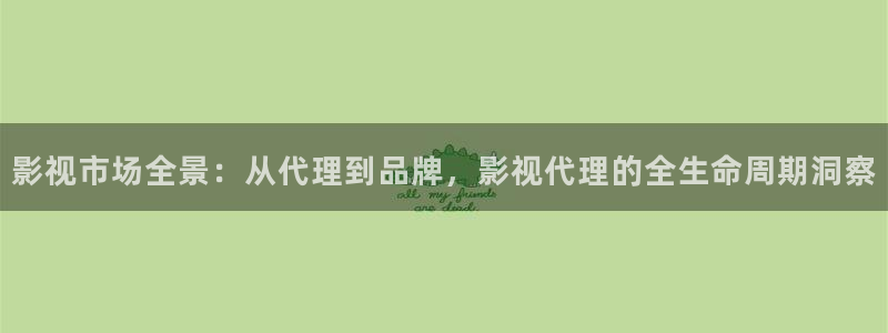 飄雪影院在線播放：影視市場全景：從代理到品牌，影視代理的全生命周期洞察